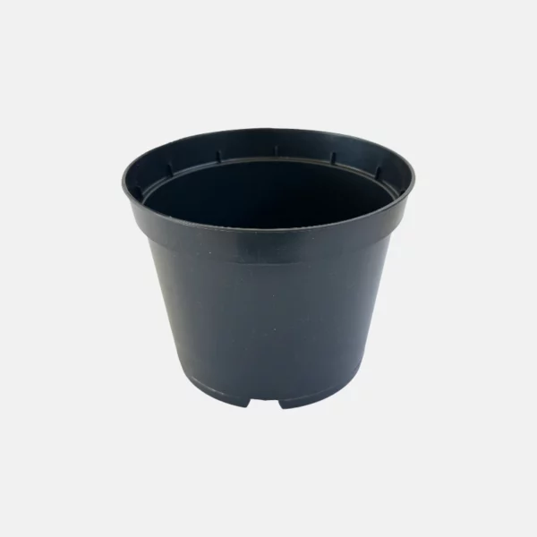 Judicieux pour accueillir et exposer vos plantes, qu'elles soient disposées en intérieur ou en extérieur.