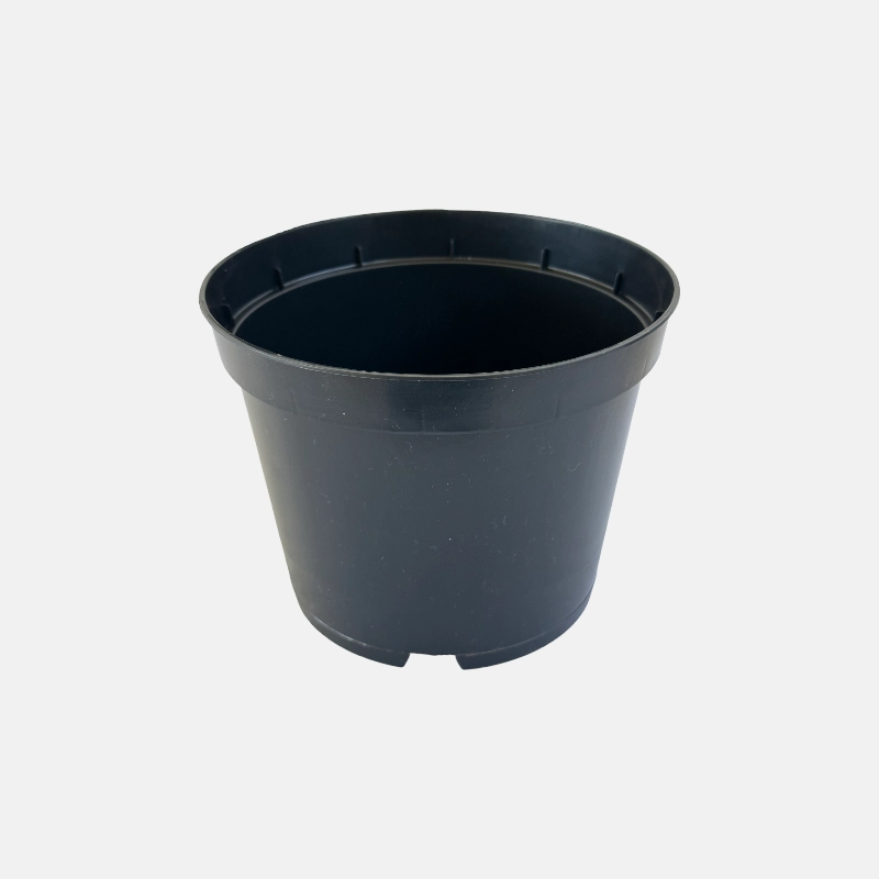 Judicieux pour accueillir et exposer vos plantes, qu'elles soient disposées en intérieur ou en extérieur.