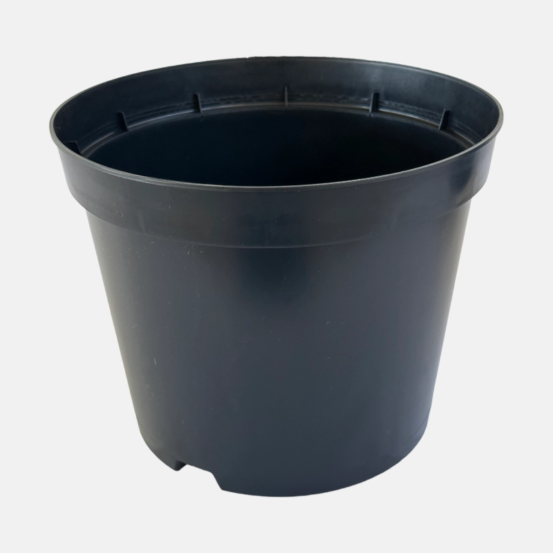 Judicieux pour accueillir et exposer vos plantes, qu'elles soient disposées en intérieur ou en extérieur.