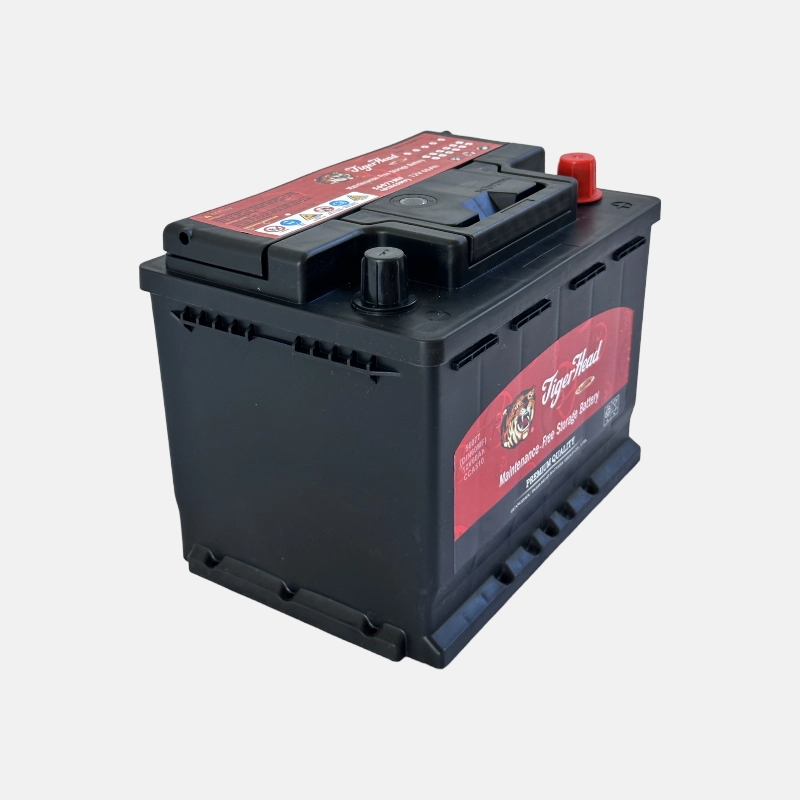 BATTERIE TIGER 60AH+D MF 240x175x190 – ETS Aming