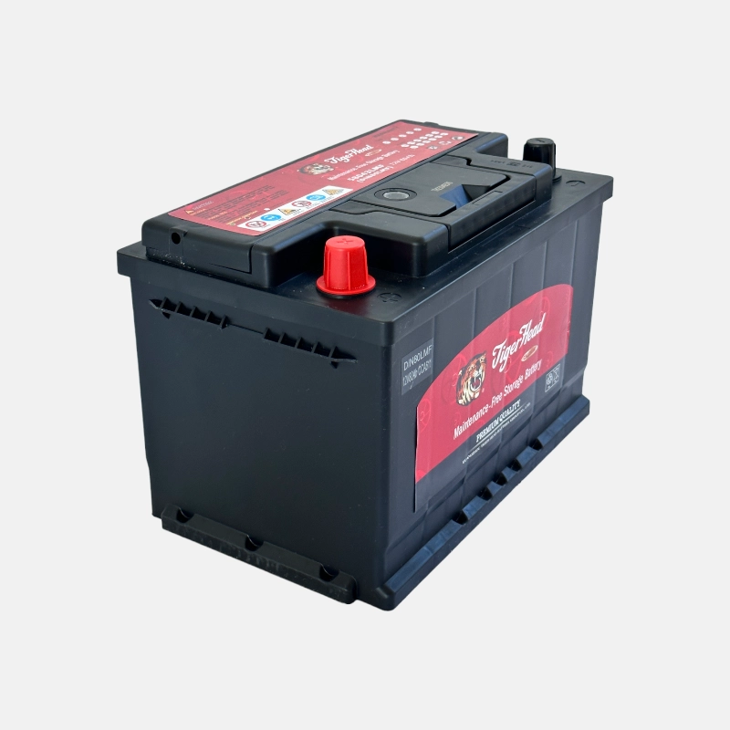 BATTERIE TIGER 80AH+D MF 275x175x190 – ETS Aming