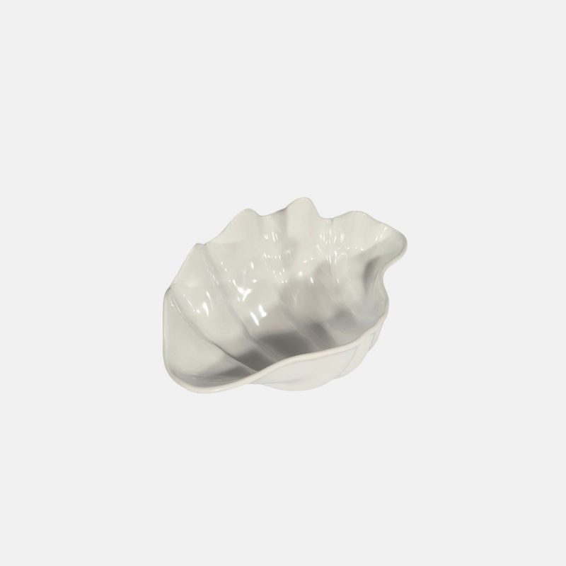 Plat coquillage de taille SMALL.