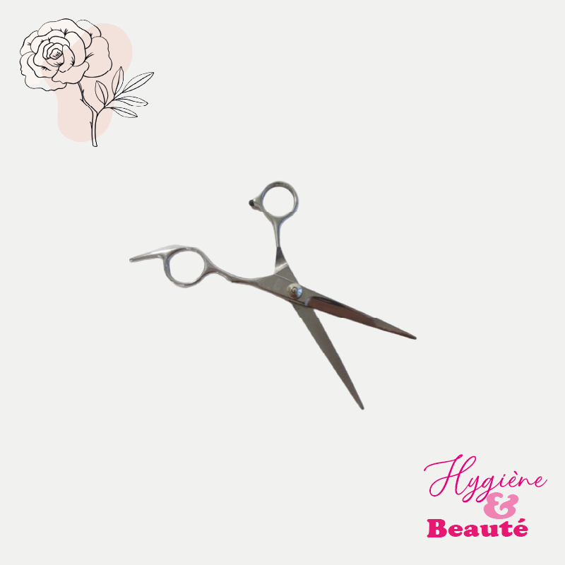 Ciseau de coiffure professionnel