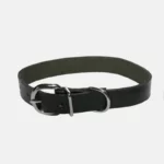 Collier pour chien en cuir et de 40 cm de long