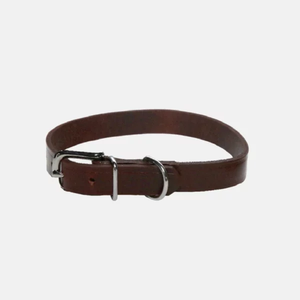 Collier pour chien en cuir et de 44 cm de long