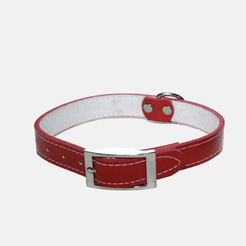 Collier pour chien en cuir et de 53 cm de long