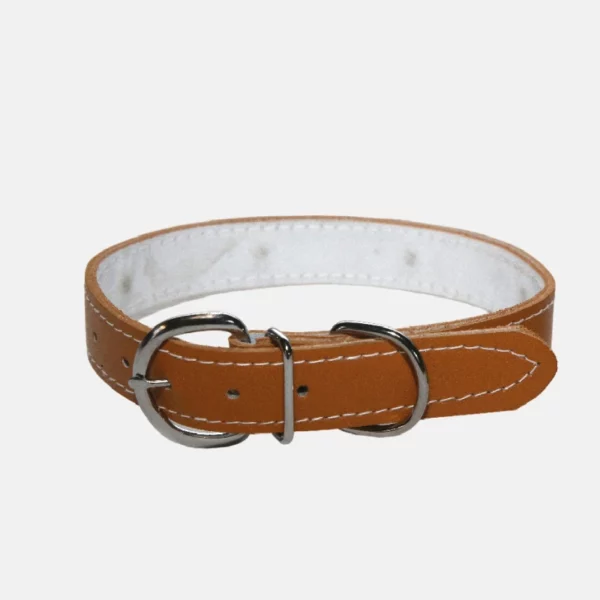 Collier pour chien en cuir et de 53 cm de long