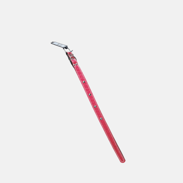 COLLIER CHIEN CUIR 61CM – Image 6