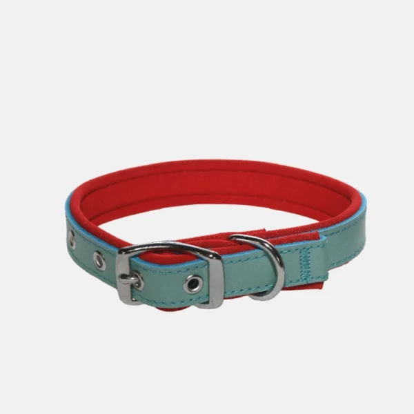 Collier pour chien en cuir et 45 cm de long