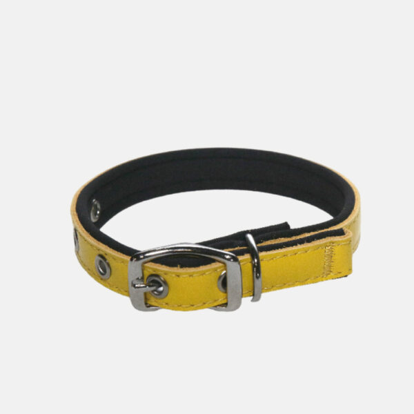 Collier pour chien en cuir et de 38 cm de long