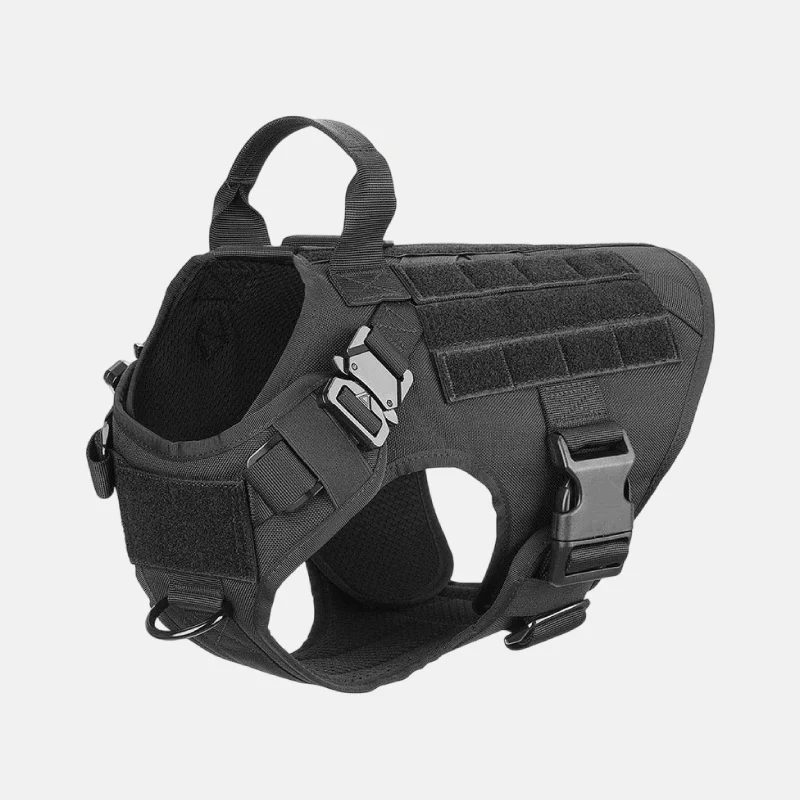 Harnais pour chien de taille médium et de couleur noir