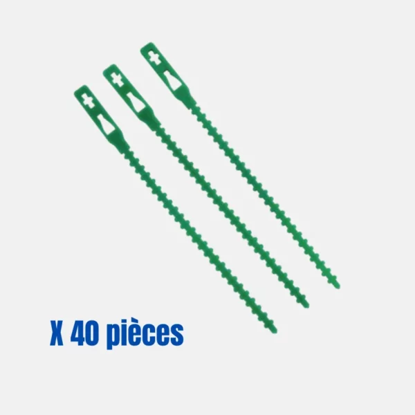 Attache plante de couleur vert de taille 14 cm, 40 pièces.
