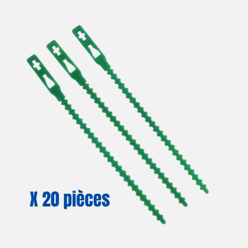 Attache pour plante de couleur vert, et de taille 22 cm de long, 20 pièces.
