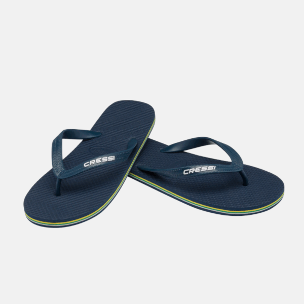 Pair de savates bleu marine.