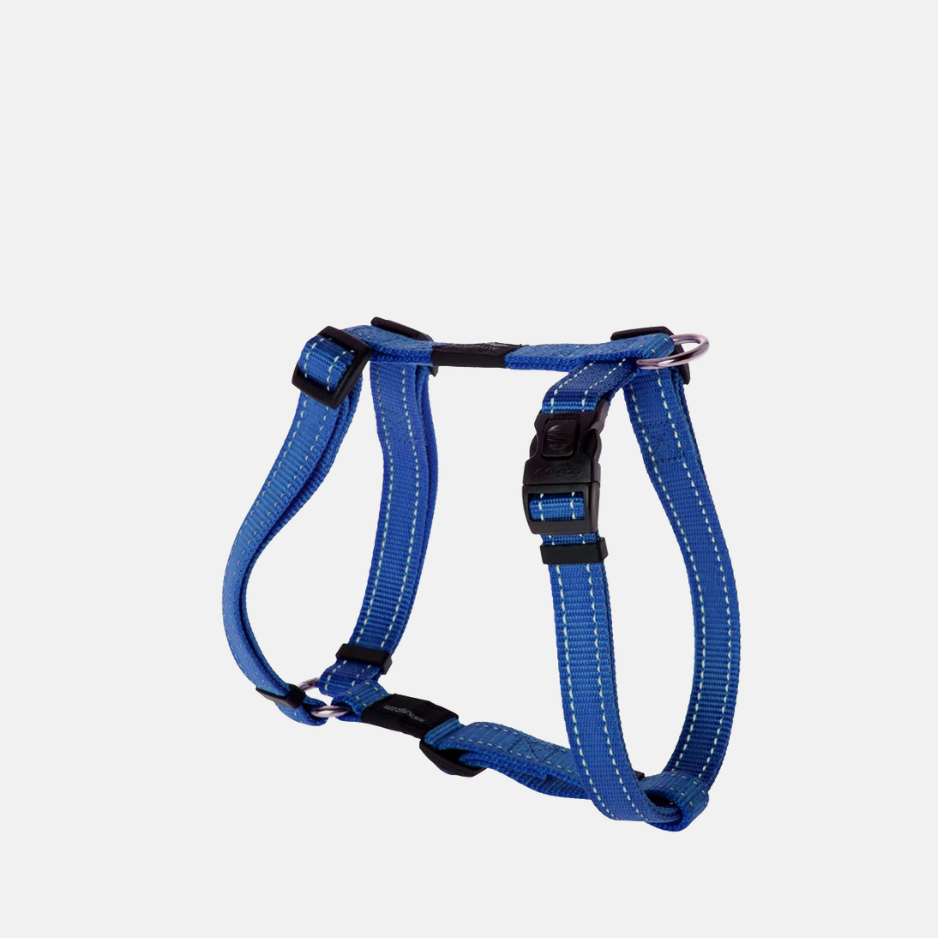 DO00626-HarnaisYPourChien-bleu-M-1085F