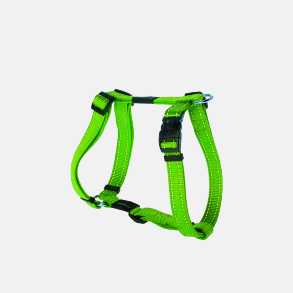 HARNAIS Y POUR CHIEN COULEUR M – Image 3