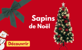 2 sapin de noel
