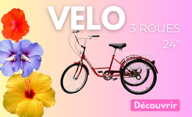 Velo Velo