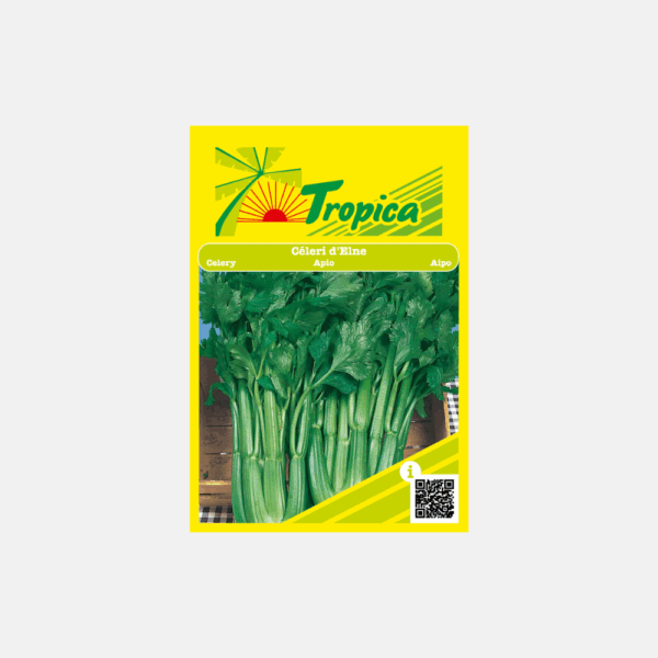 GRAINE DE CELERI D'ELNE   * – Image 1