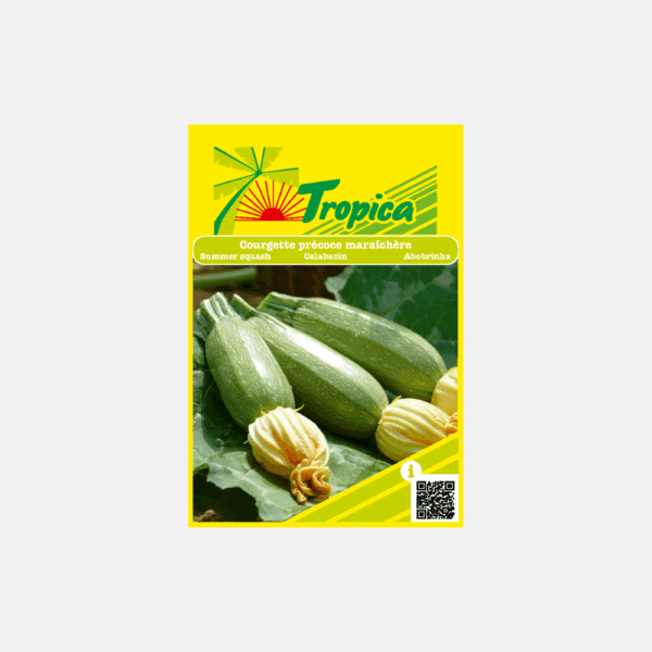 GRAINE DE COURGETTE PRECOCE MARAICHERE * – Image 1