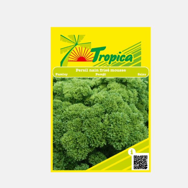 GRAINE DE PERSIL FRISE  * – Image 1