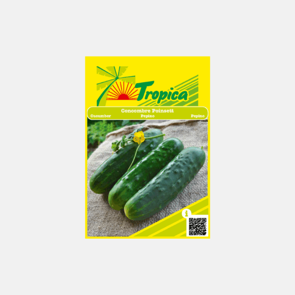 GRAINE DE CONCOMBRE POINSETT * – Image 1