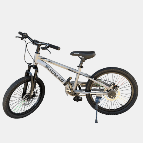 CRT MTB 20" SURPASS SUSPENSION – Image 9