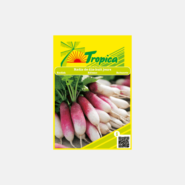 GRAINE DE RADIS 18 JOURS * – Image 1