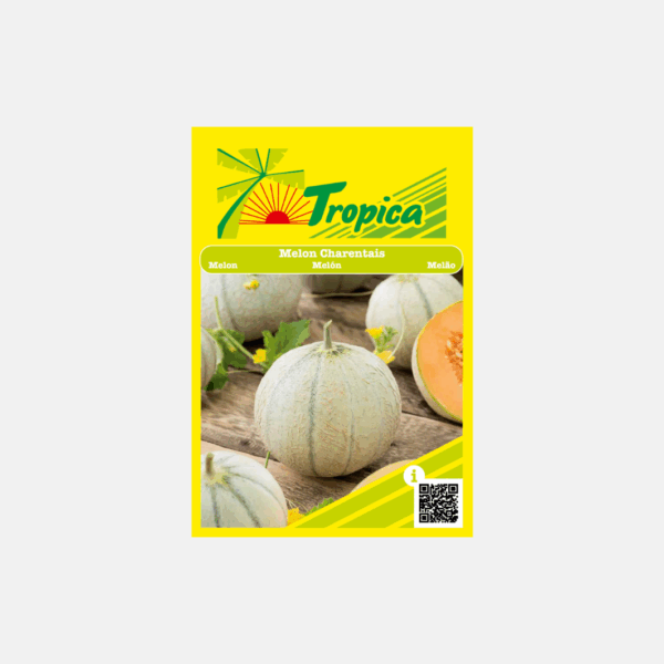 GRAINE DE MELON CHANRENTAIS  * – Image 1