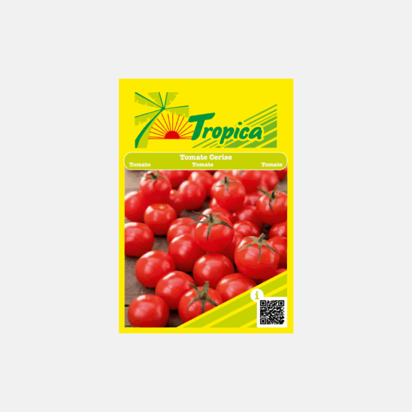 GRAINE DE TOMATE CERISE * – Image 1