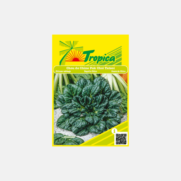 GRAINE DE CHOU DE CHINE PAK CHOI TATSOI* – Image 1
