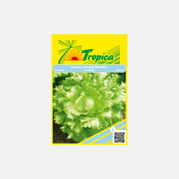 GRAINE DE SALADE - LAITUE ICEBERG * – Image 1