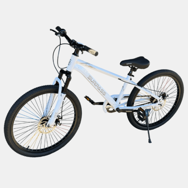 CRT MTB 20" SURPASS SUSPENSION – Image 4