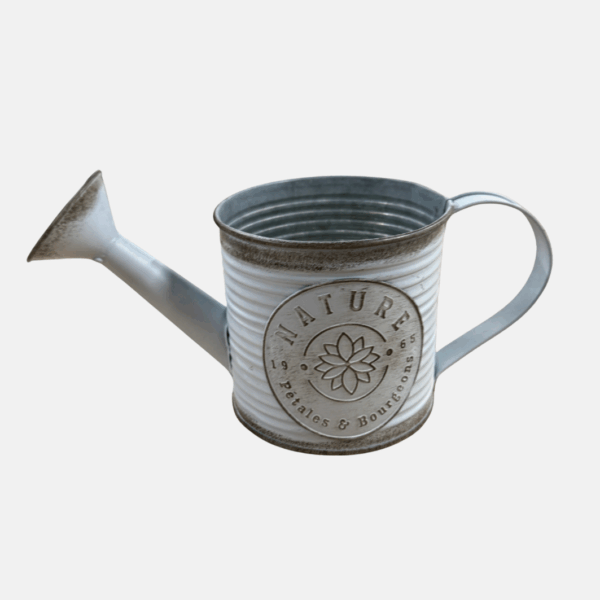 CACHE POT ARROSOIR METAL 25XH11CM (24) – Image 1