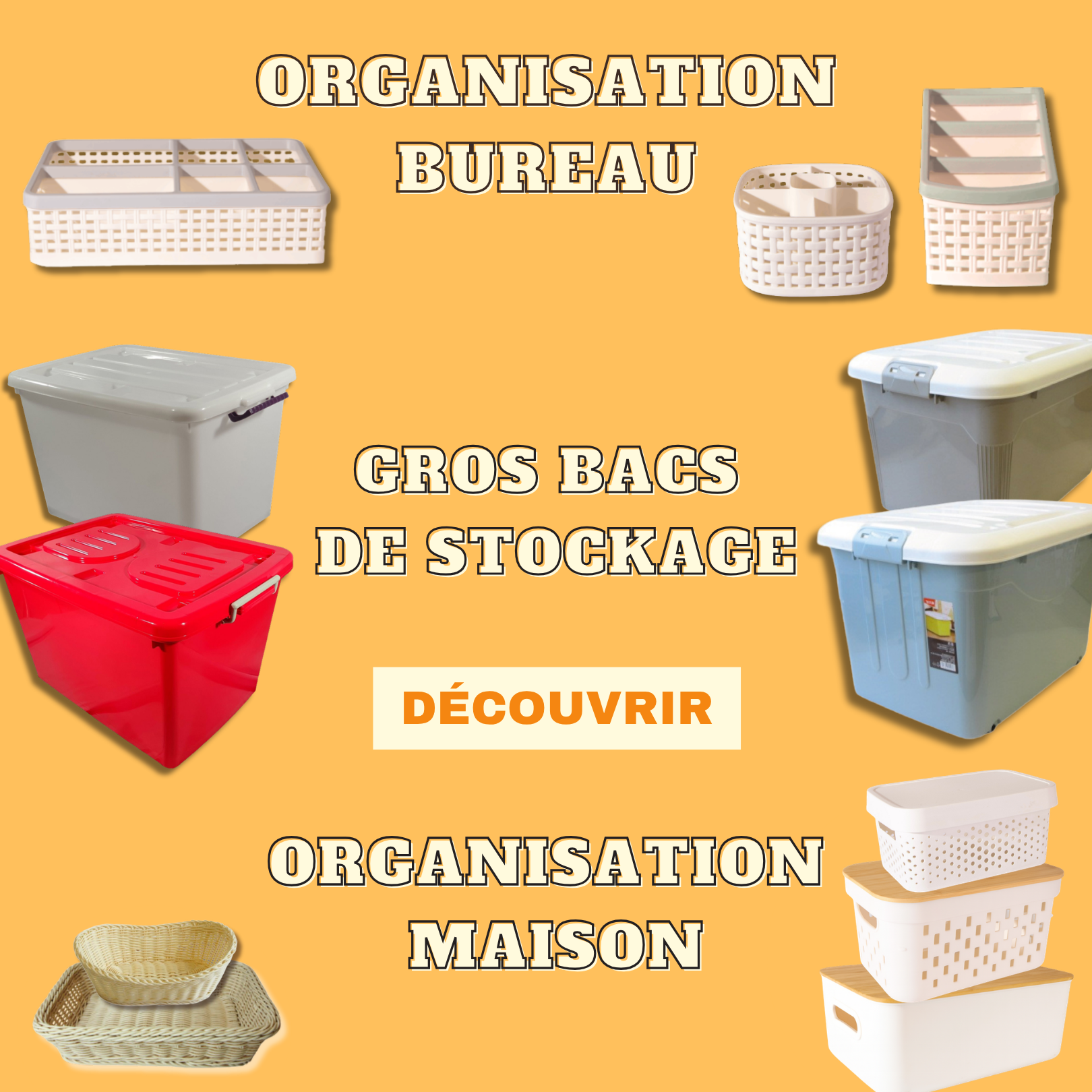 ORGANISATION