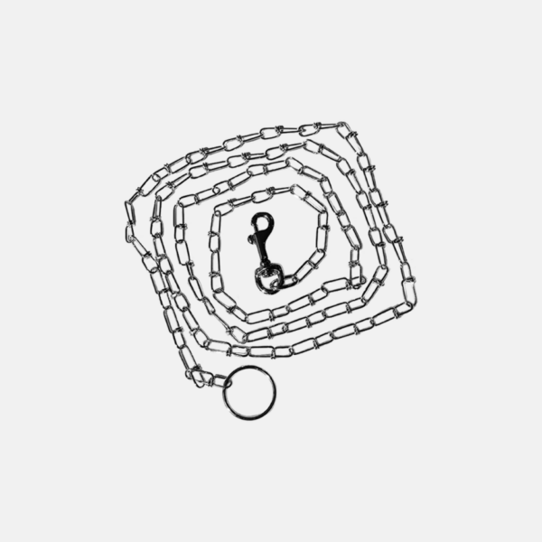 CHAINE CHIEN 3.8MM 2.0M (12)  (36) – Image 1