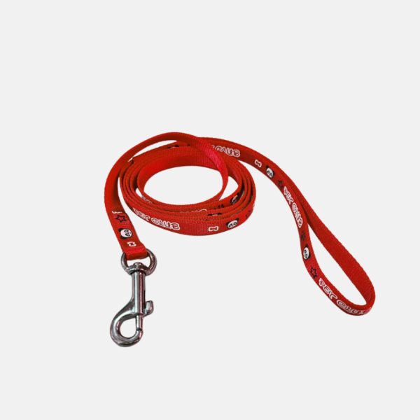 LAISSE CHIEN NYLON 122CM – Image 2