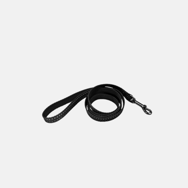 LAISSE CHIEN COULEUR NYLON 122CM – Image 2