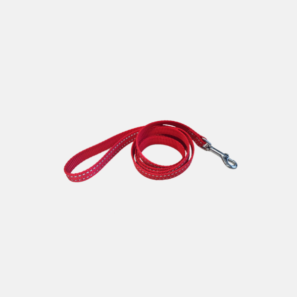 LAISSE CHIEN COULEUR NYLON 122CM – Image 1