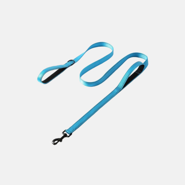 LAISSE CHIEN NYLON 1.50M – Image 1