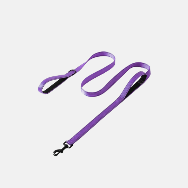 LAISSE CHIEN NYLON 1.50M – Image 2