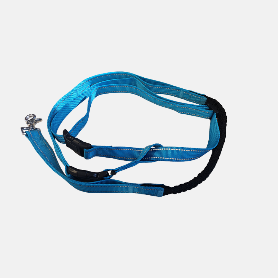 DO00947-LaissePourChien-MainLibre-122cm-bleu-1720F