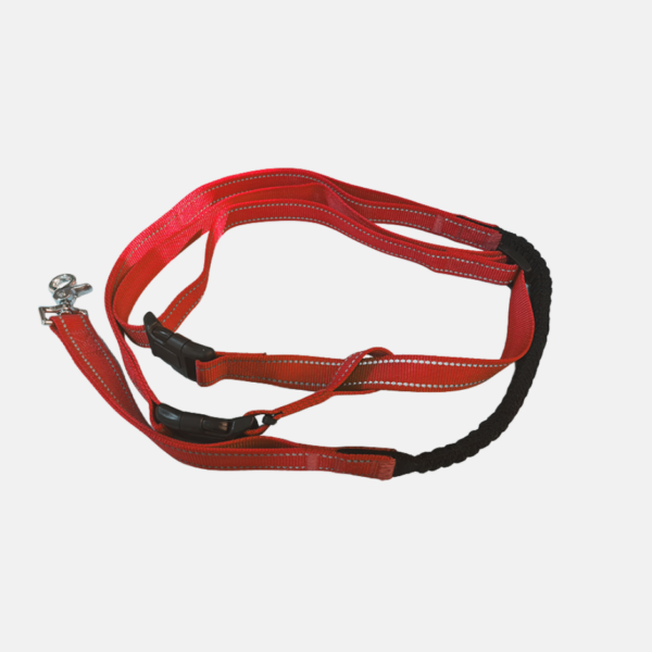 LAISSE POUR CHIEN MAIN LIBRE 122CM – Image 3