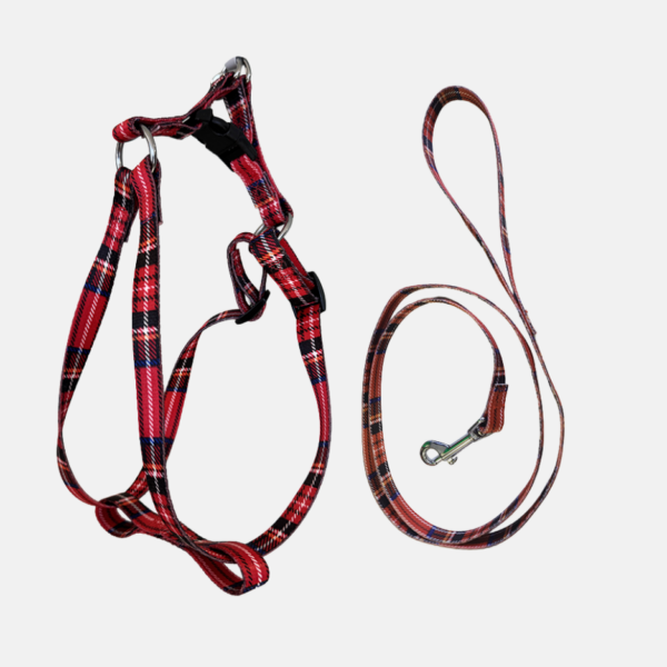 LAISSE CHIEN NYLON 122CM – Image 1