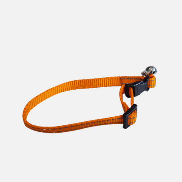 COLLIER CHIEN NYLON 30CM N-2206-12 – Image 4