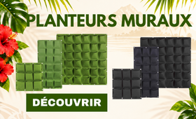 20260923-underhomes-promos-foire-agricole-planteurs-muraux